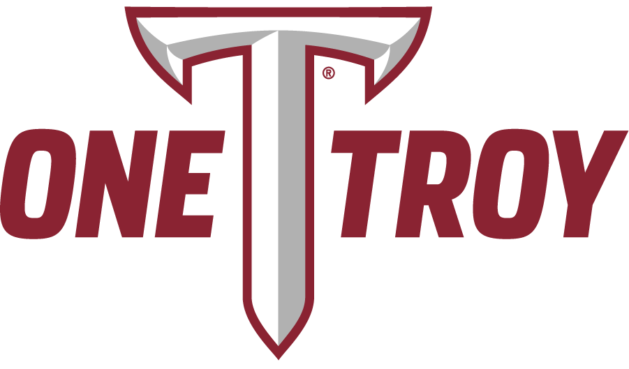 Troy Trojans 2019-Pres Wordmark Logo v2 diy iron on heat transfer